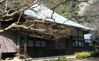 伊豆88霊場　第28番　大江院