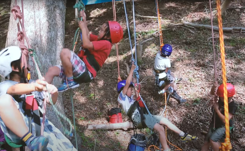Tree Climbing