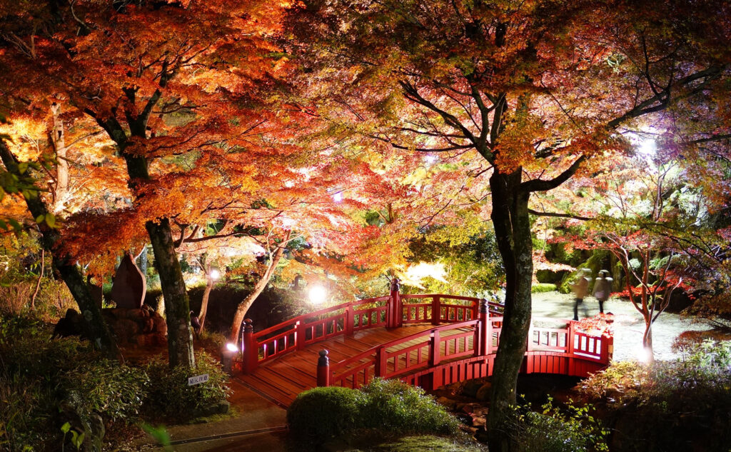 熱海梅園 紅葉の季節