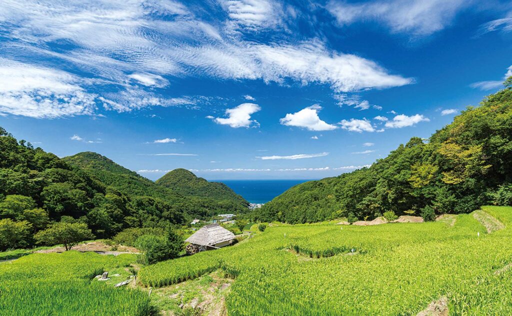 石部の棚田