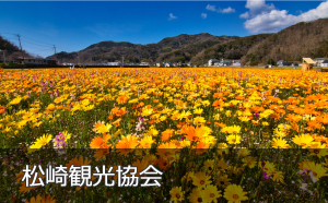 松崎観光協会