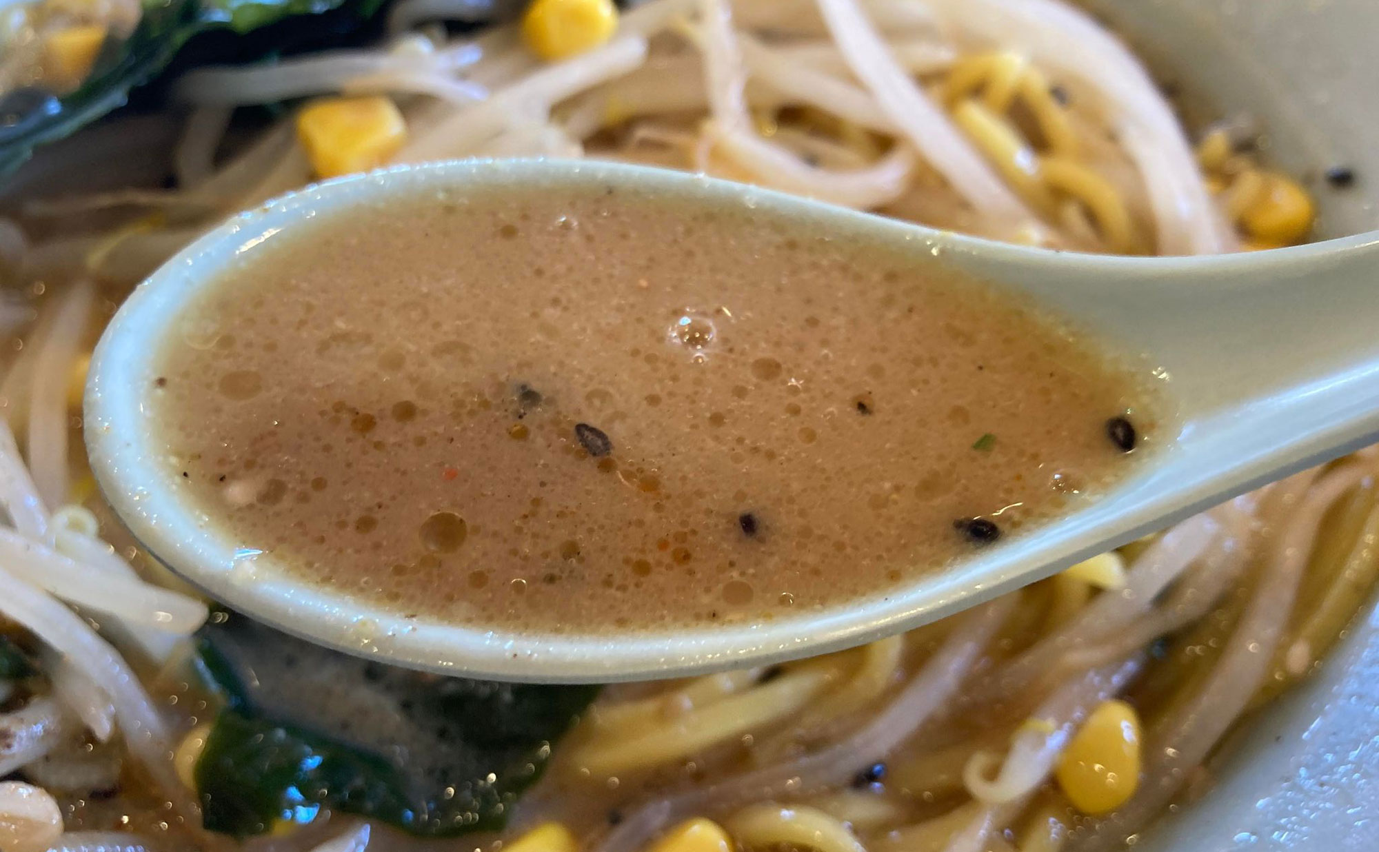 三島 ラーメン「雪ん子」(Yukinko) スープ