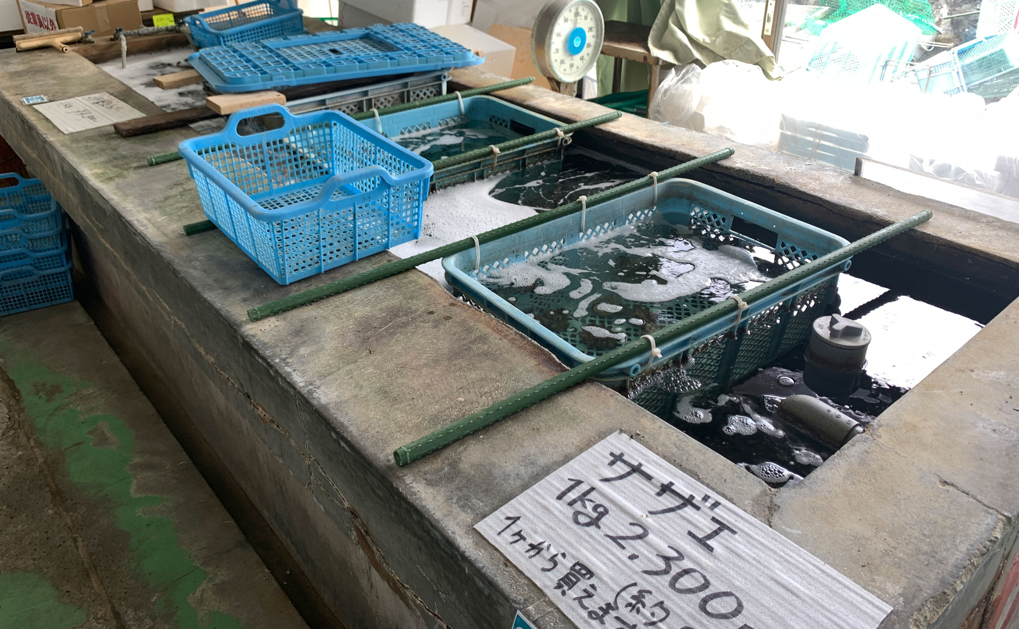 西伊豆 海鮮「沖あがり食堂」(Okiagarishokudou) 店内