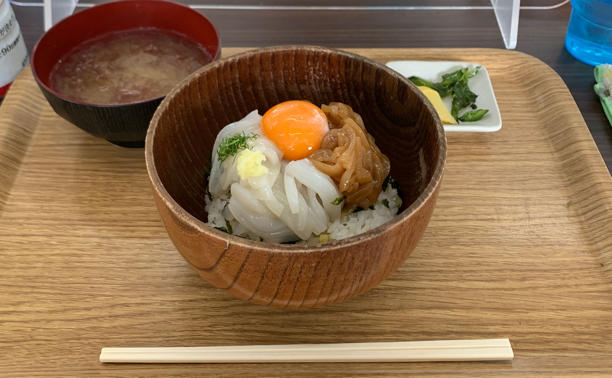 西伊豆 海鮮「沖あがり食堂」(Okiagarishokudou) イカ様丼