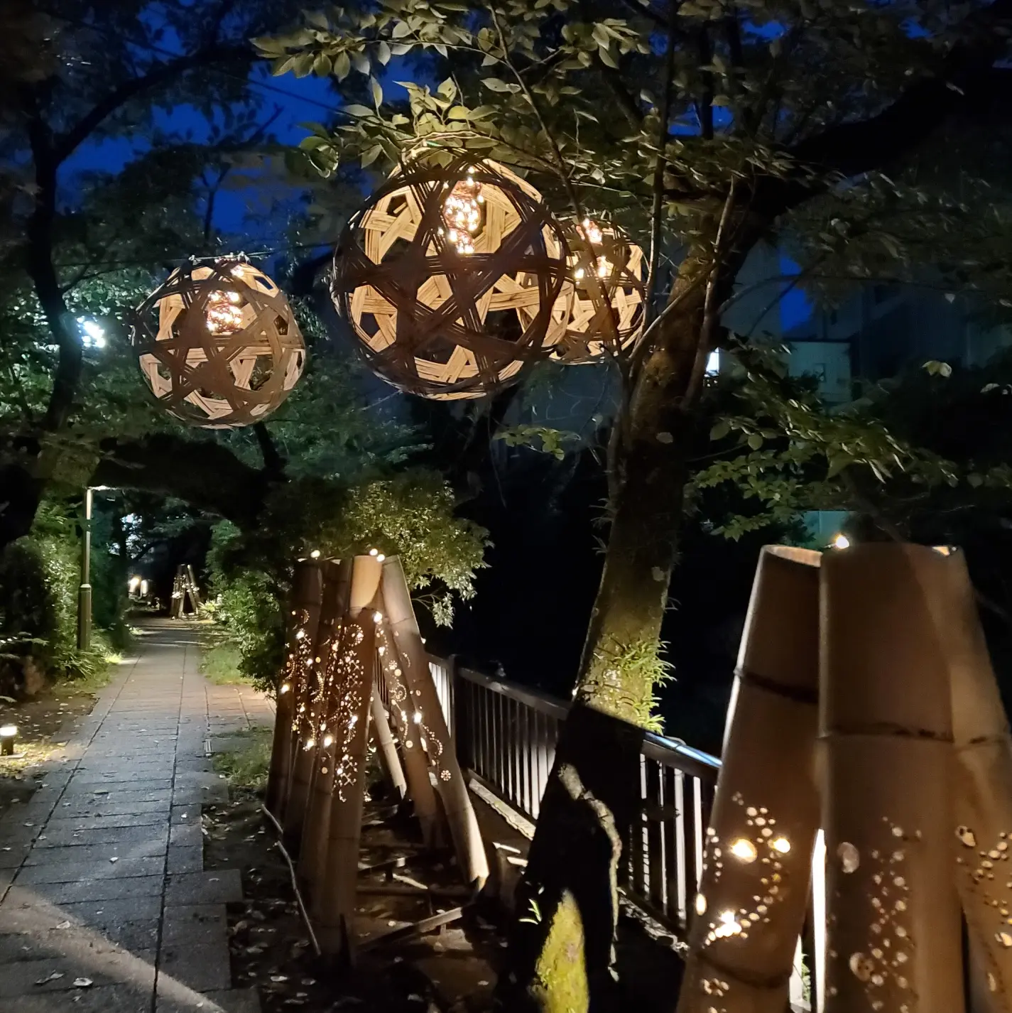 夜の散歩竹明かり