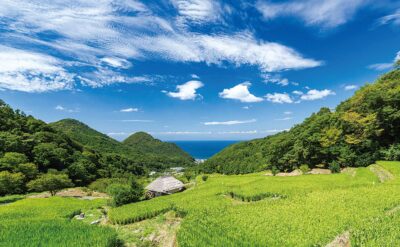 石部の棚田
